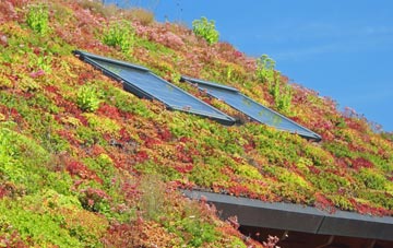 Loscoe living roof systems