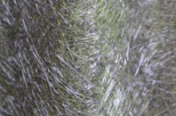 Loscoe fibreglass roof work